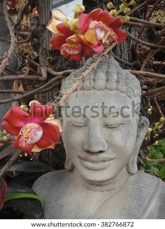 The peaceful Buddha