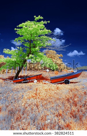 two boats parked under the green tree in sunny day. image has been taken in infrared camera and contain slight softness and custom white balance