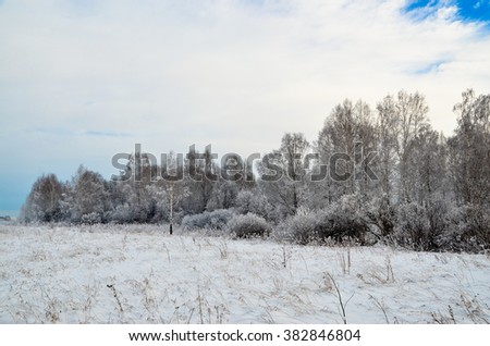 winter meadow with a forest on the outskirts of