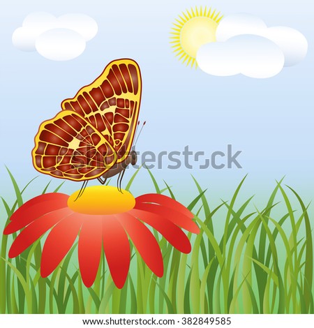 Bright butterfly on a red flower, in a green grass, against the blue sky.