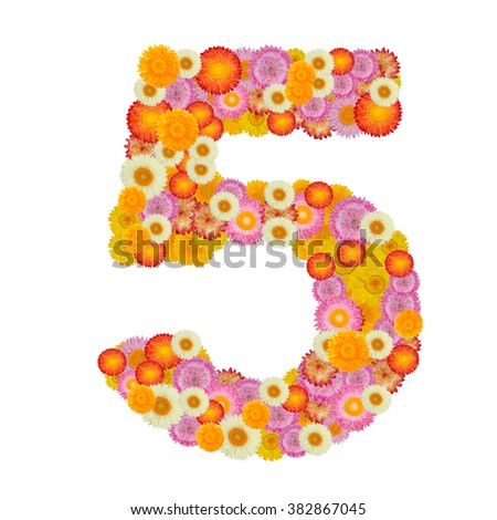flower number five. Floral element of colorful alphabet made from straw 