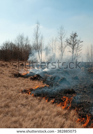 fire on spring field