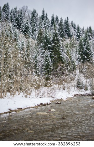winter forest and mountain river