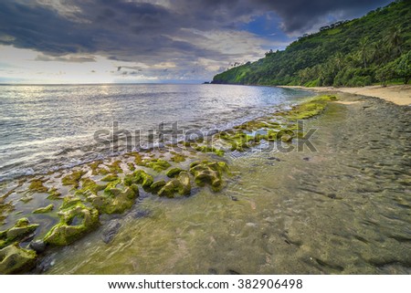 Natural green moss at beach rock with cloudy sunlight at Lombok beach, Indonesia
