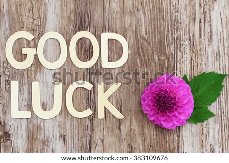 Good luck written with wooden letters and pink dahlia flower
