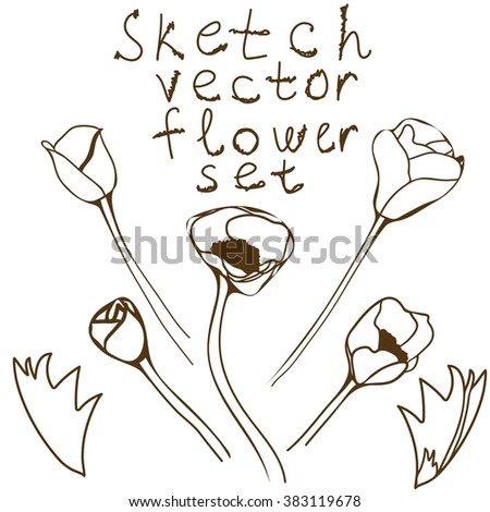 Flower set: detailed hand drawn anemones. Vector sketch collection.