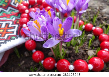 Hutsul clothes elements, flowers crocuses and red beads