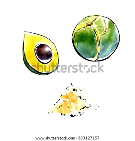 Vector illustration of super food Lucuma fruit. Organic healthy dietary supplement. Black outlines and bright watercolor stains and drips. Isolated hand drawn objects on white background.