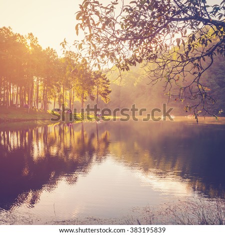 Pond water and sunrise with vintage effect.