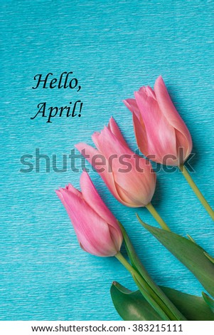Tag hello april with three pink tulips on blue background