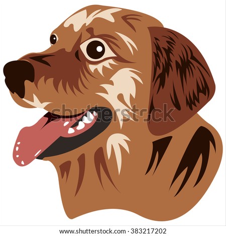 face of a dog on a transparent background vector