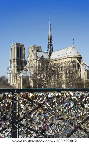 The bridge with locks and Notre-Dame. France. Paris.

