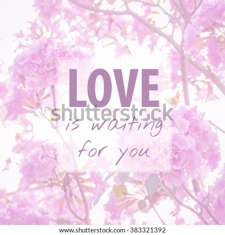 Quote about love on flower background.Love is waiting for you.