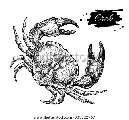 Vector vintage crab drawing. Hand drawn monochrome seafood illustration. Great for menu, poster or label. Royalty-Free Stock Photo #383322967