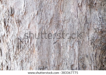  bark textures