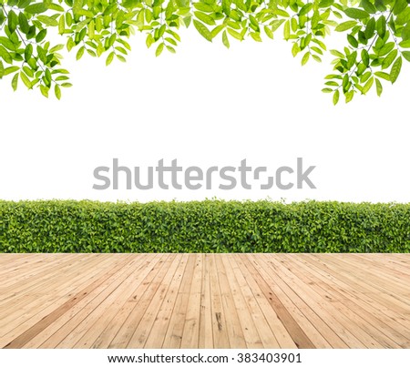 Wooden floor with hedge for background.