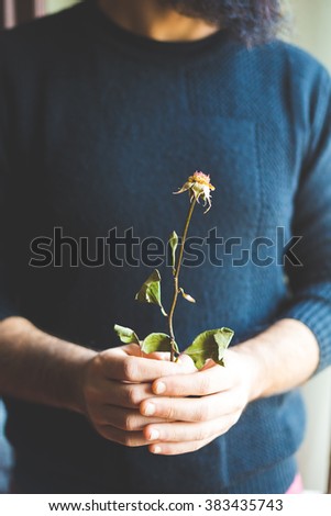 bearded man with a dry rose in hands