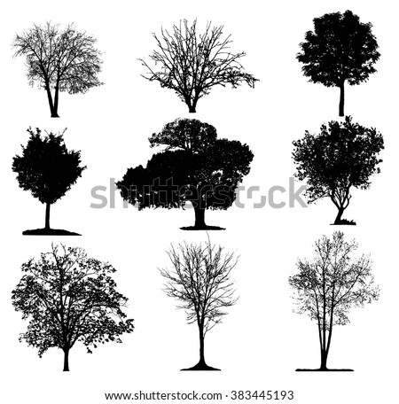 Trees silhouette collection