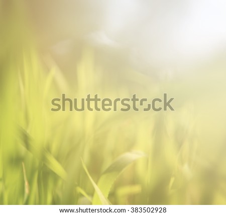 abstract dreamy and blurred image of grass with sun flare. vintage filtered
