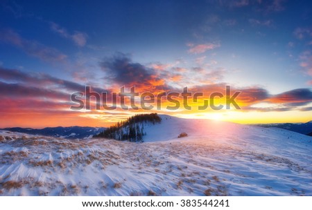 Majestic winter trees glowing by sunlight. Dramatic and picturesque morning wintry scene. Place location Carpathian national park, Ukraine, Europe. Beauty world. Warm toning effect. Happy New Year!