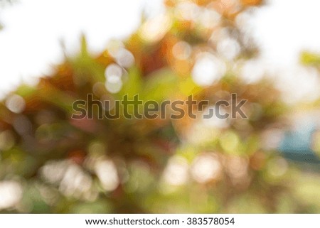 color  bokeh abstract light background.
