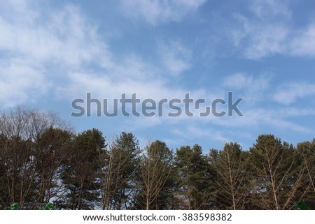 Korea winter sky in Namisom Island