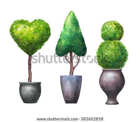 watercolor topiary trees, isolated design elements set, greenery clip art