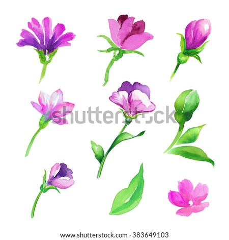 watercolor pink flowers and green leaves isolated design elements