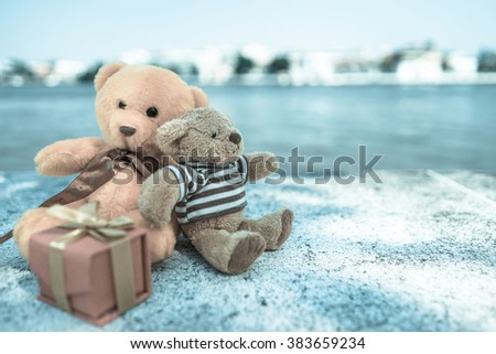 two bear dolls on the riverside and gift box with cold tone