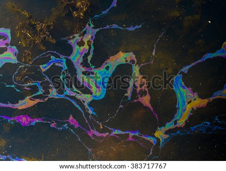 Multicoloured oil slick in a dragon like shape on a Cambodian lake  near Angkhor Wat Royalty-Free Stock Photo #383717767