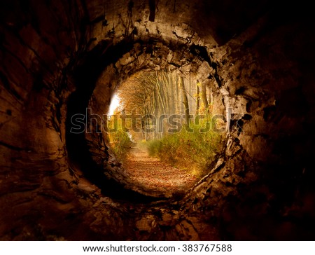 Tunnel to magic forest - place of harmony, freedom, happiness Royalty-Free Stock Photo #383767588