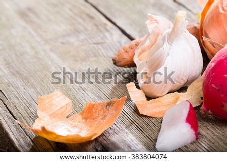 The crude vegetables in the right corner of a background from gray old boards. Onions, garlic, garden radish. Free space at the left, small depth of sharpness