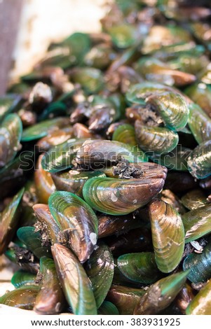 Asian green mussel , Perna viridis , green mussel  in market