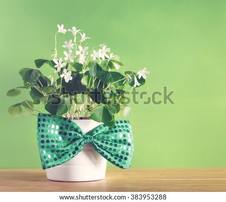 Saint Patricks Day shamrock in white pot with bowtie