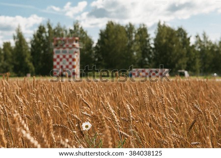 Wheat field, on a background  airport buildings