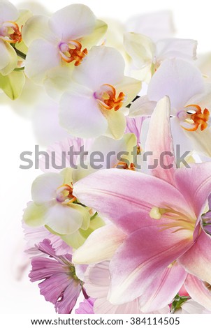 Lily and orchid.Flower background