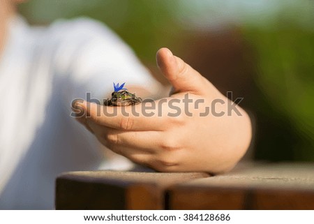 frog with a flower on her head sitting on a child's hand