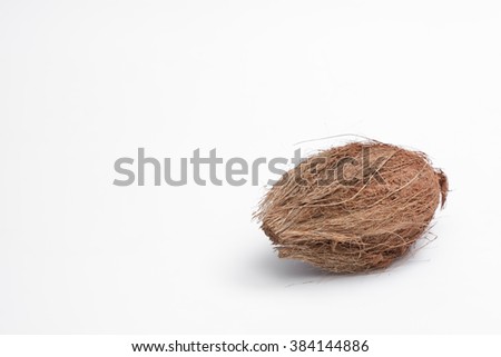 coconut seed old on white background