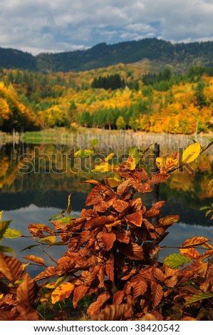 Beautiful autumn lake view