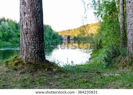 Summer river with reflections in Gauja National Park in Latvia