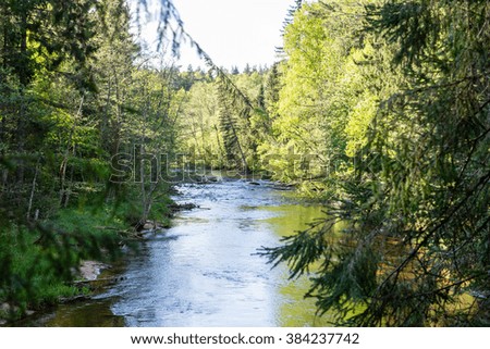 Summer river with reflections in Gauja National Park in Latvia