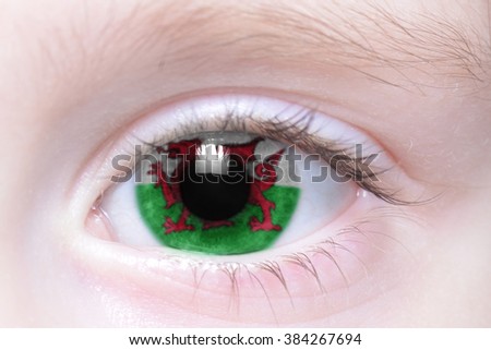 human's eye with national flag of wales