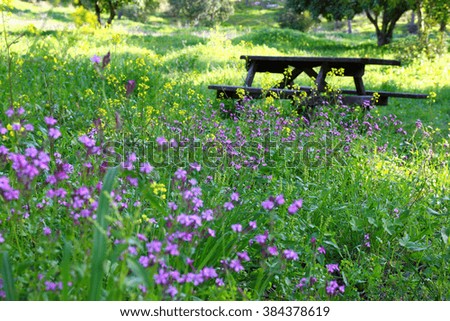 photo of spring meadow with wildflowers. vintage filtered image. selective focus
