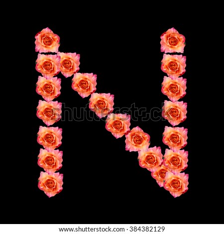 Alphabet  N made with orange Roses