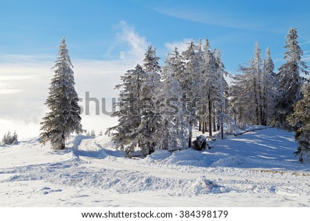 Photo of a beautiful winter landscape