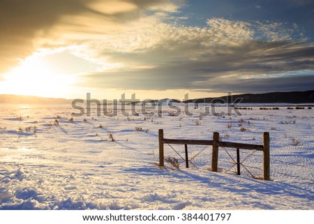 Sunrise golden glow covering a winter landscape in Targhee National Forest, Idaho