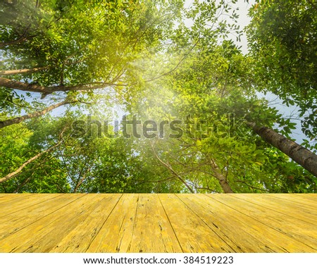 image of empty wood table and green forest with sunlight in background.