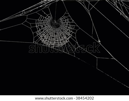 White spider's net isolated on a black background. Royalty-Free Stock Photo #38454202
