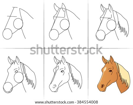 Six steps of drawing a horse head from line to final color execution