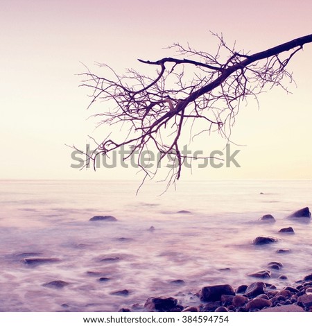 Romantic colorful sunset at wavy sea. Stony beach with bended tree and hot pink sky in water mirror.  Vivid and vignetting effect.. 